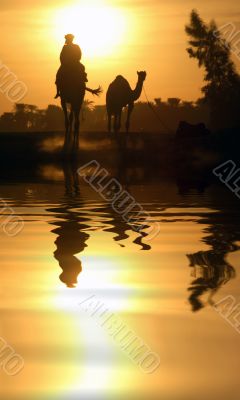 Camel and Reflection