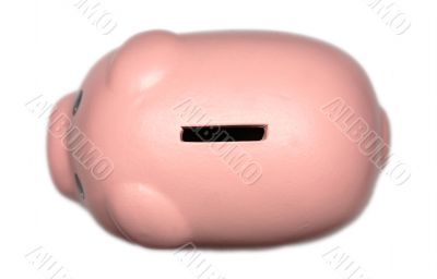 Piggy Bank From Above
