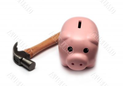 Piggy Bank