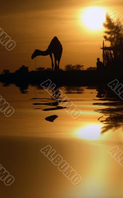 Camel and Reflection