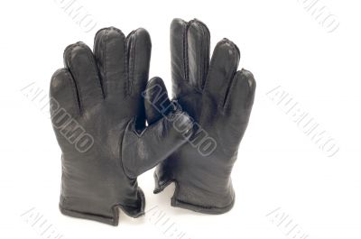leather glove