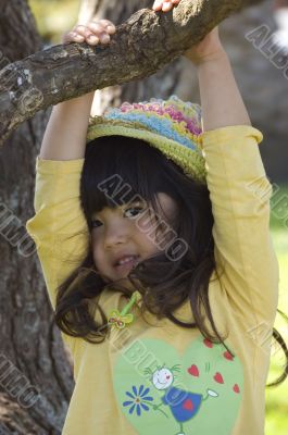 Cute little girl hanging from a tree