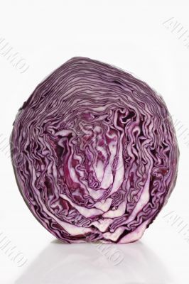 Half of a Red Cabbage