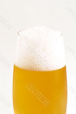 Glass of Beer