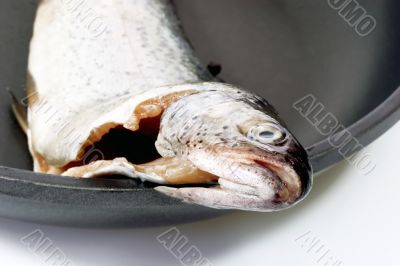 Fish head