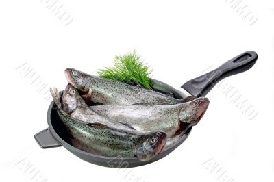 Pan with trouts