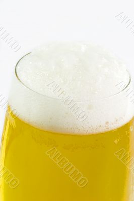 Fresh Beer