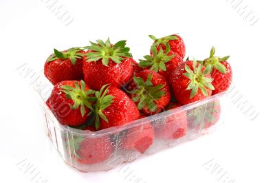 Box of Strawberries