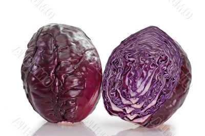 Red Cabbages