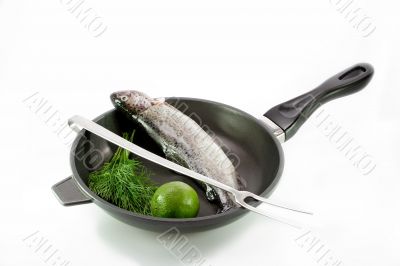 Trout