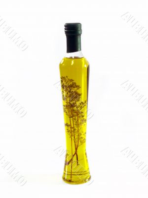 Olive Oil