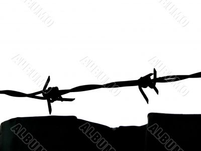 Barbed Wire