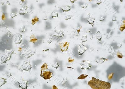 Droplets and part of leafs caught in spider web