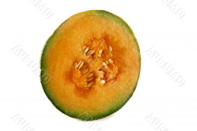 Rockmelon 1