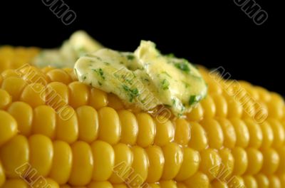 Fresh Corn 5