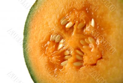 Rockmelon 2