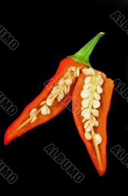 Chili Pepper 1