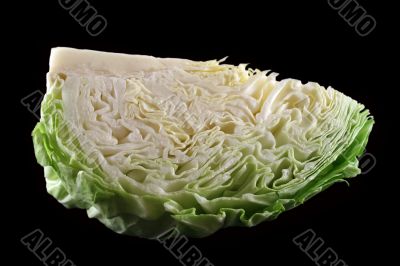 Fresh Cabbage 1