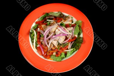 Grilled Chicken Salad 3