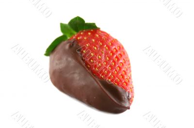 Chocolate Strawberry 1