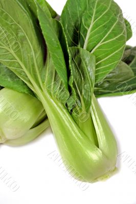 Bok Choy 2