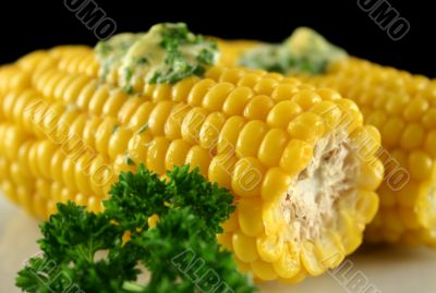 Fresh Corn 4