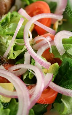 Salad Background 5