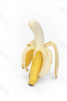 Open banana on white background