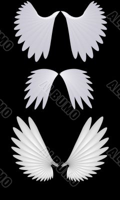 Angel wings