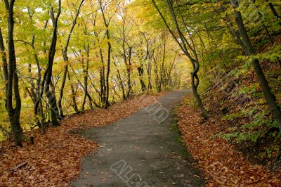 Autumn