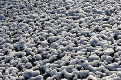 Snow on ground