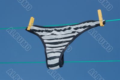 Panties