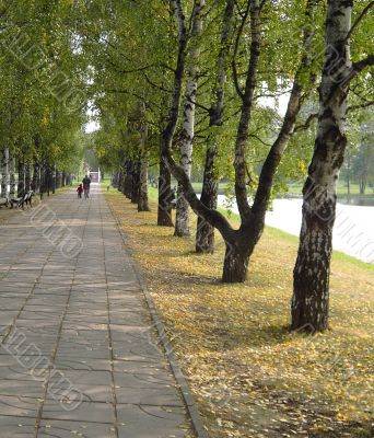 city park in autumn