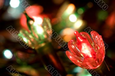 Twinkle Lights