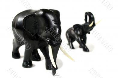 Black Elephants 1