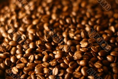 Grains of coffee