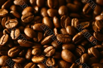 Grains of coffee