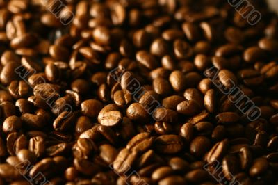 Grains of coffee