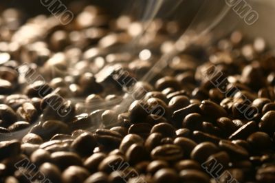 Grains of coffee