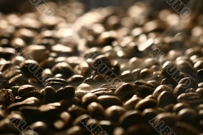 Grains of coffee