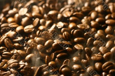 Grains of coffee