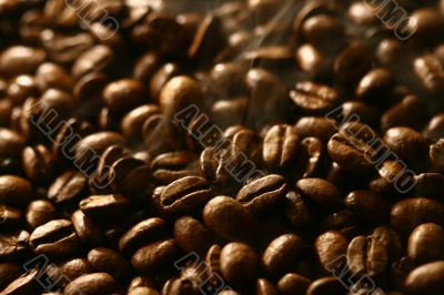 Grains of coffee