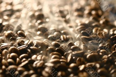Grains of coffee