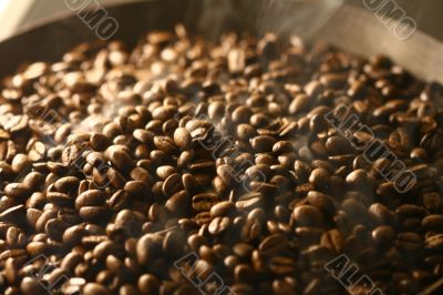 Grains of coffee