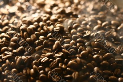 Grains of coffee