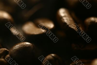 Grains of coffee