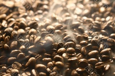 Grains of coffee