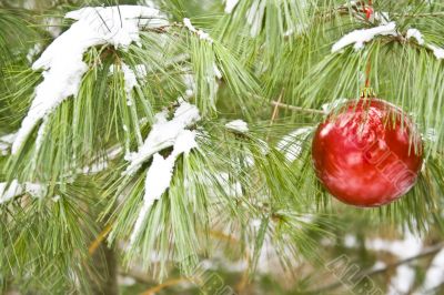 chirstmas bulb