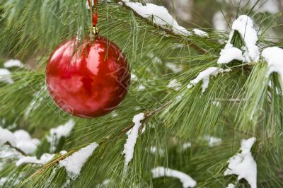 chirstmas bulb
