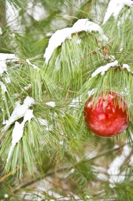 chirstmas bulb